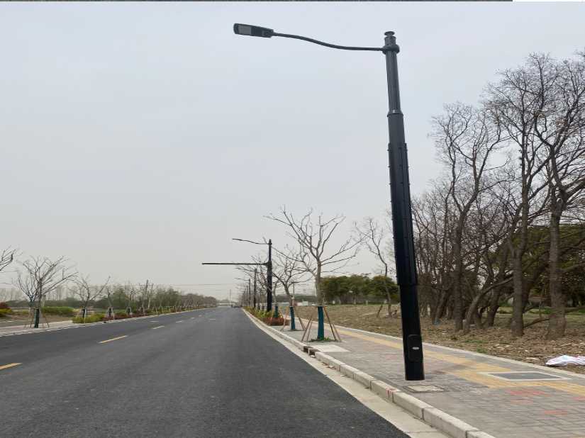 点军区上海综合杆 太阳能路灯工程